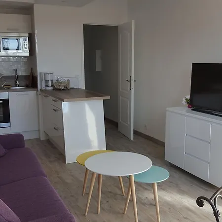 Studio Palm Beach 200m De La Croisette *